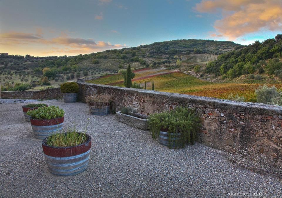 セッジャーノDimora Toscanaアパートメント エクステリア 写真